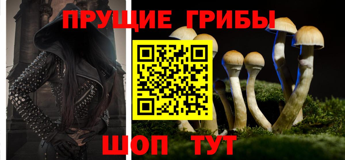 Галлюциногенные грибы мухоморы  Вход с VPN  Шатура 